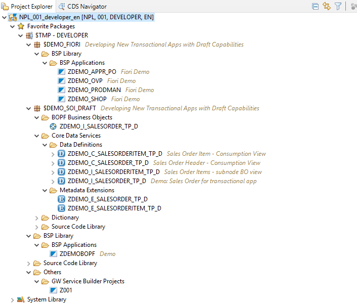 Objetos contenidos en paquete $TMP de usuario DEVELOPER SAP "Developer Edition"
